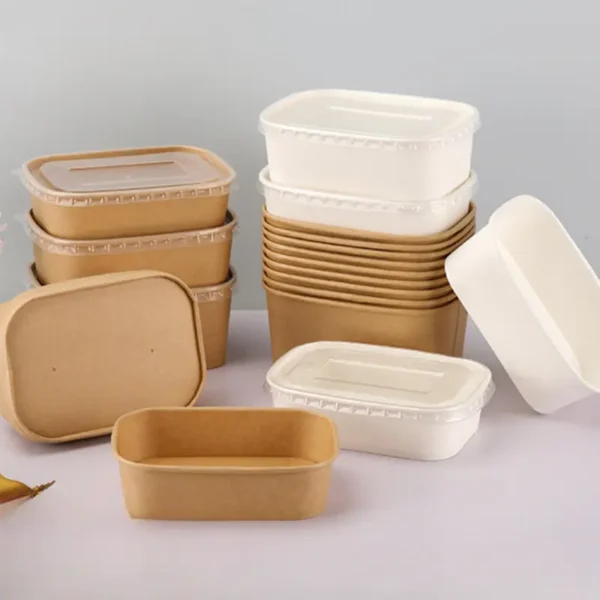 1722908110443-2184329d22c3490c83c980f71f04ec9c-goods.webp EcoChoice 1pc Paper Takeout Boxes – BPA-Free & Flip-Top