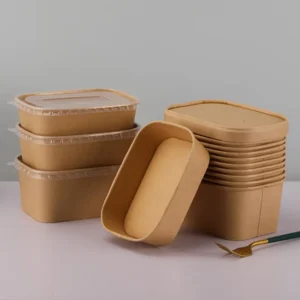 EcoChoice 1pc Paper Takeout Boxes – BPA-Free & Flip-Top