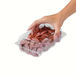 4135d4f7-bfc7-4c41-b074-7a96a3fac335.webp 50pcs Clear PET Plastic Rectangular Flip-Top Containers