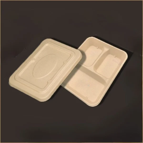 4-Compartment Paper Tray - Disposable Divided Lunch Box with Fresh Fruit