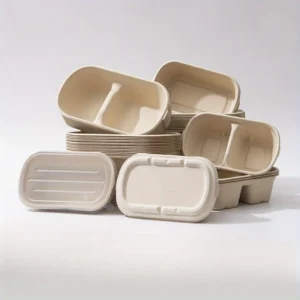 5pcs Disposable Paper Bento Boxes – Biodegradable & Compostable