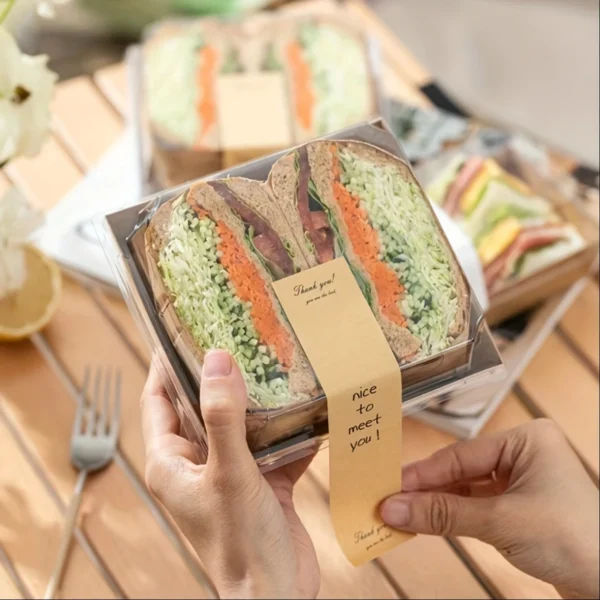 20 Pack Transparent Square Sandwich Containers with Flip-Top Lids